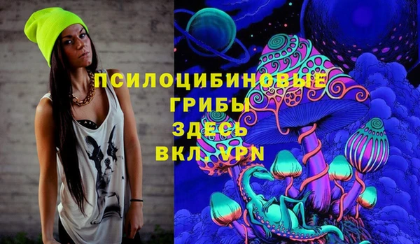 меф Алексин