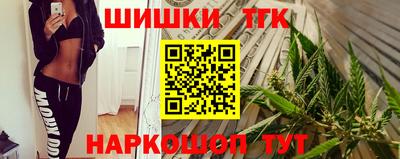 крисы Нальчик