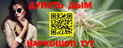крисы Нальчик