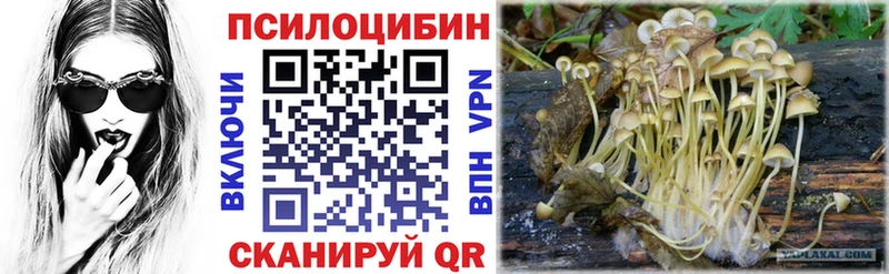 Псилоцибиновые грибы MAGIC MUSHROOMS Рославль